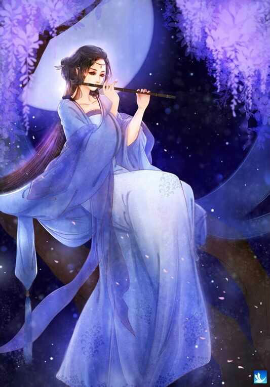 沐清浅