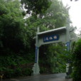 杨梅岭