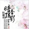 枉凝眉：暗香疏影