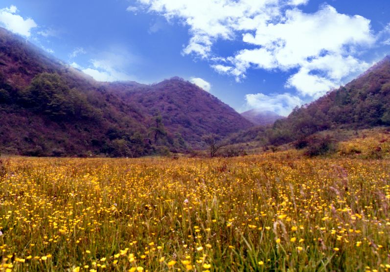 羊山生态旅游区