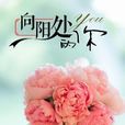 向阳处的你