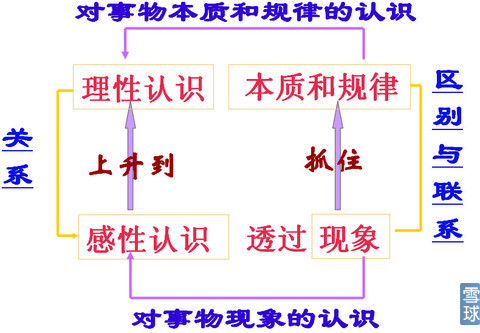 本质与现象 本质与现象