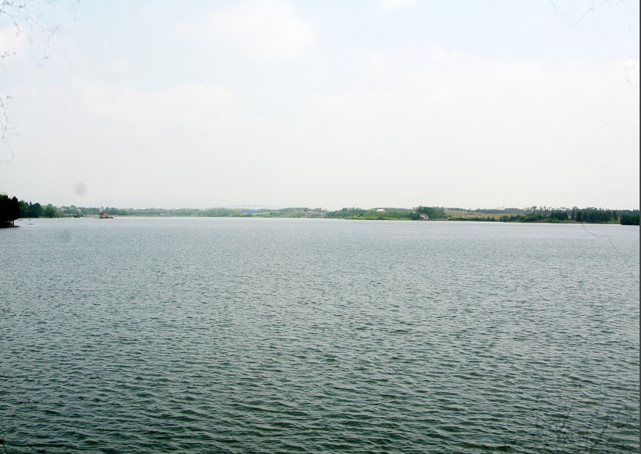 梅松树水库 梅松树水库