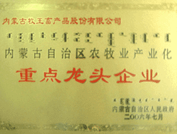 企业荣誉 企业荣誉