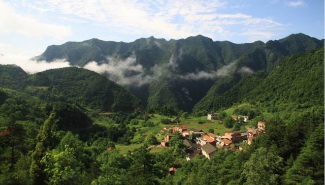 羊山村(陕西省旬阳县羊山村)