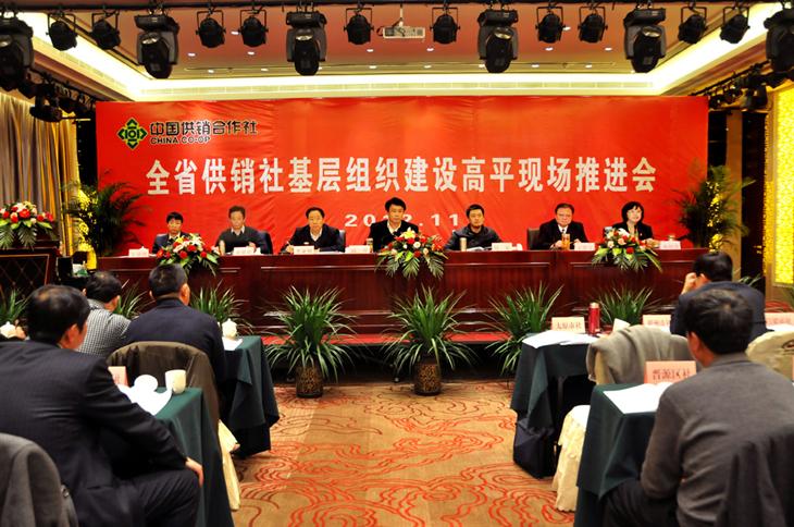 全省供销社基层组织建设高平现场推进会