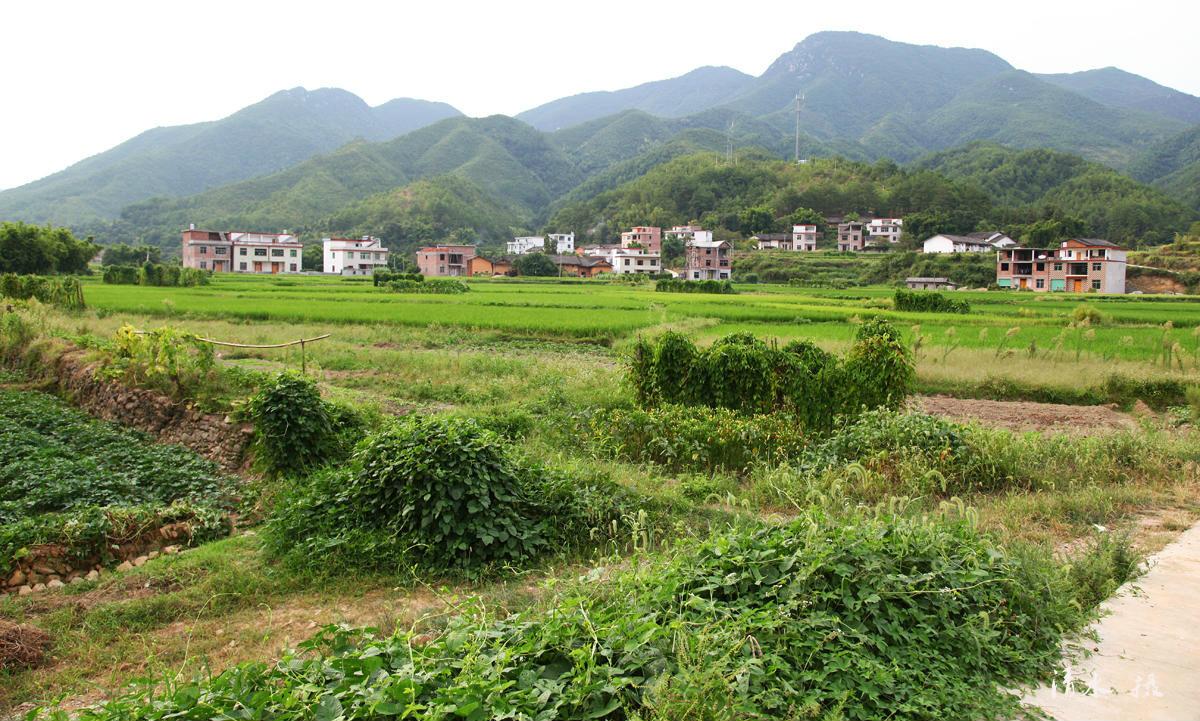 上犹梅岭村