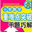 国小数学重难点突破千题巧解