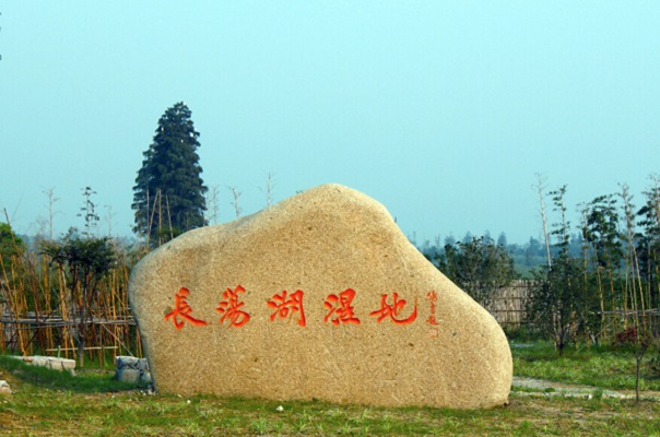江苏金坛长荡湖国家湿地公园