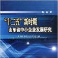 “十二五”新时期山东省中小企业发展研究