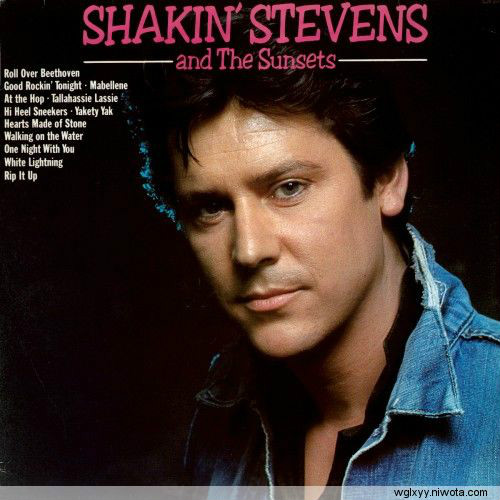 because i love you(Shakin Stevens演唱歌曲)