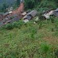 苏家山村(湖北省黄冈市罗田县平湖乡苏家山村)