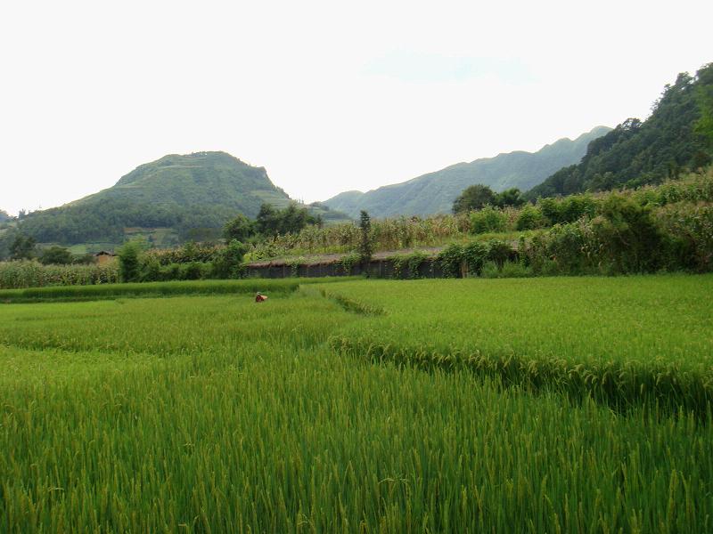 新盐盘村
