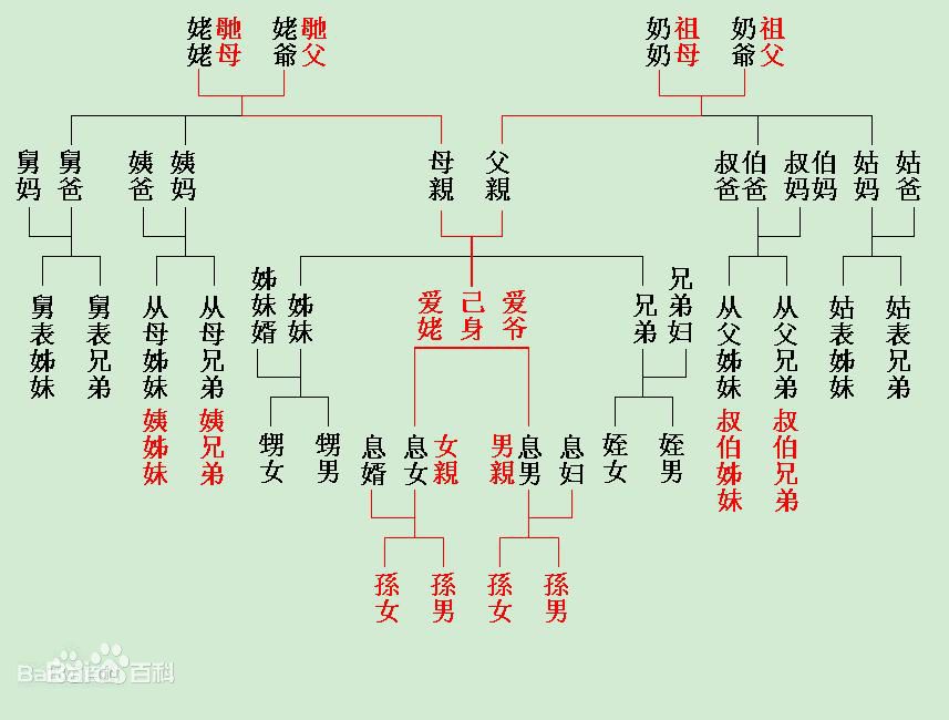 从父叔父