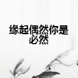 缘起偶然你是必然