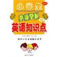 小学生必须掌握的英语知识点