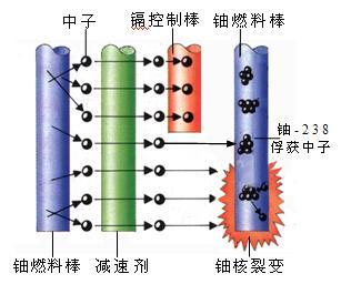 中子密度 中子密度