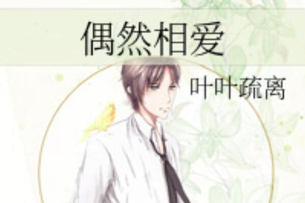 偶然相爱