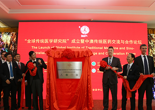 全球传统医学研究院