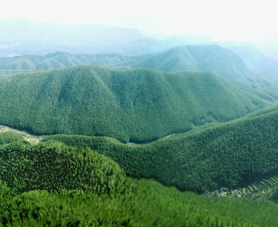 泥桥头“十里长沖” 泥桥头“十里长沖”