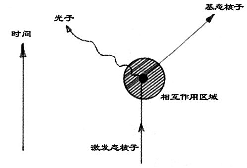 费曼图 费曼图