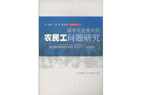 城市化进程中农民工问题研究