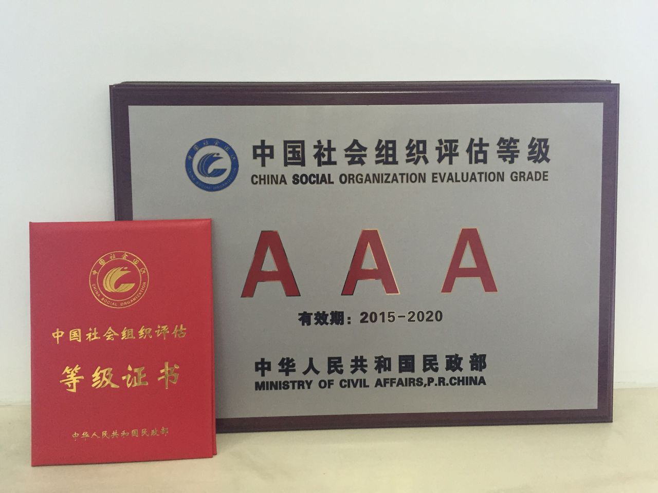 社会组织等级