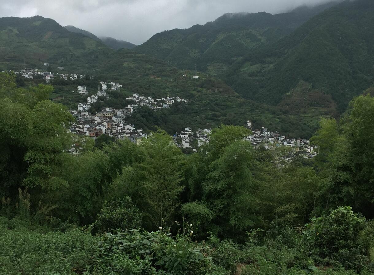 金竹村(安徽省黄山市歙县杞梓里镇金竹村)
