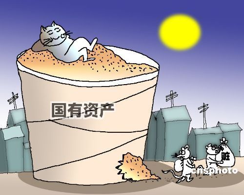 事业单位净资产