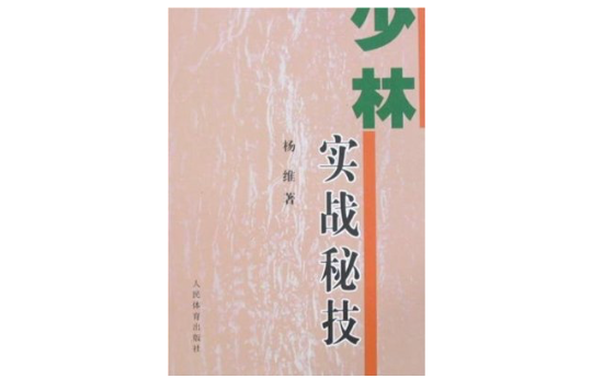 少林实战秘技