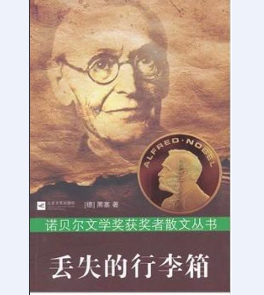 丢失的行李箱