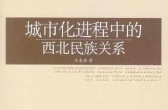 城市化进程中的西北民族关係