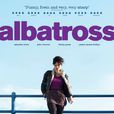 信天翁(albatross)