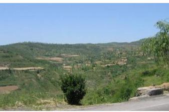 金竹山乡 金竹山乡