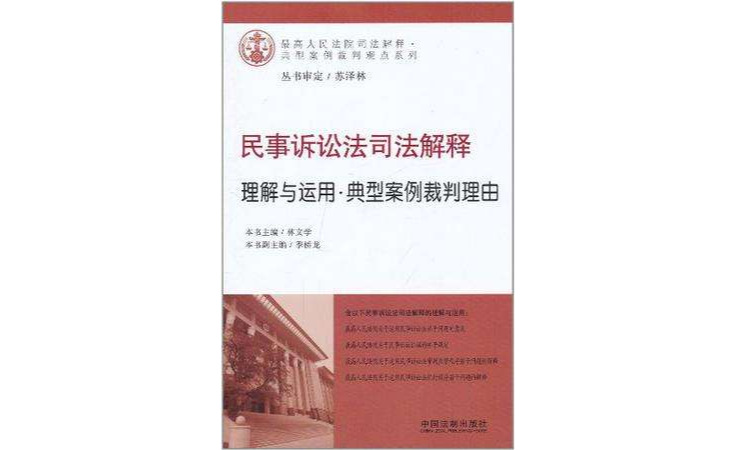 民事诉讼法司法解释理解与运用·典型案例裁判观点系列