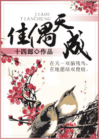 佳偶天成 佳偶天成