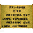 浣溪沙·客亭观涨