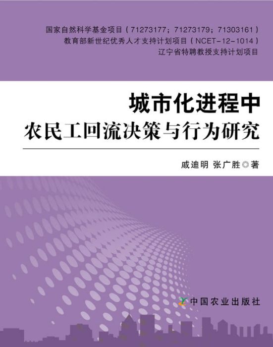 城市化进程中农民工回流决策与行为研究
