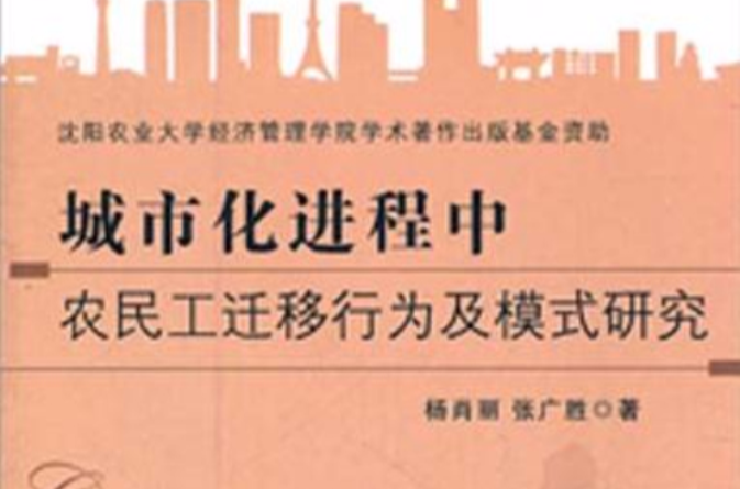 城市化进程中农民工迁移行为及模式研究