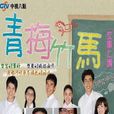 青梅竹马(2009年蔡东文、余蒨蒨等执导电视剧)