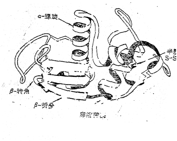 结构域