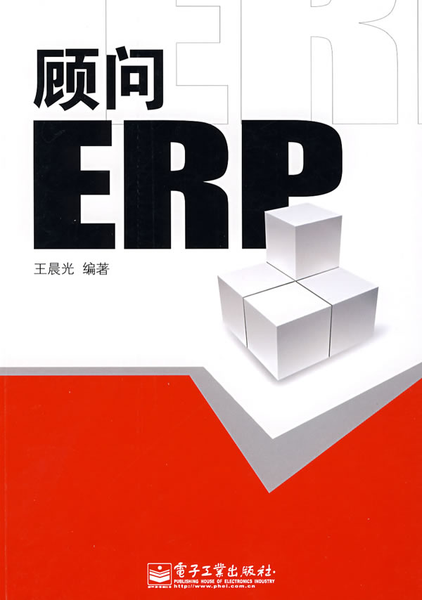 ERP实施顾问