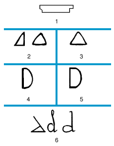 字母d的发展史 字母d的发展史