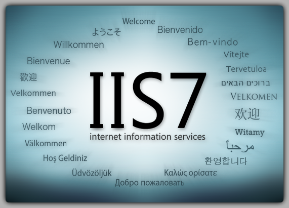 iis(网际网路信息服务)