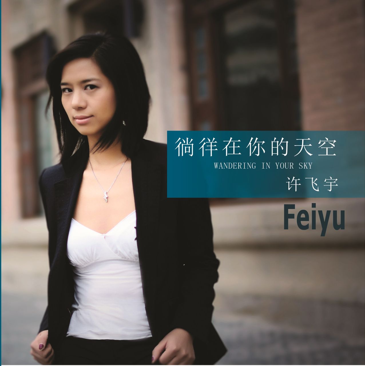 许飞宇