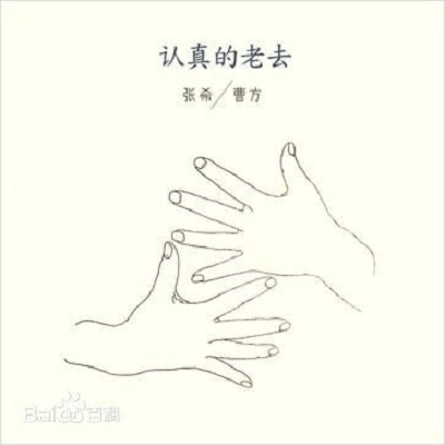 认真的老去(《认真地老去》专辑下的一首歌)