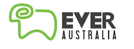 ever(前魔兽争霸3半职业选手,前DOTA半职业选手) ever(前魔兽争霸3半职业选手,前DOTA半职业选手)