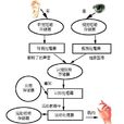 认知过程