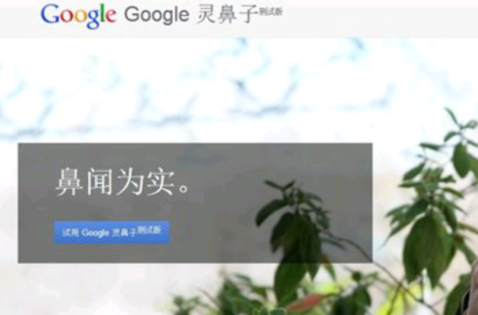 Google灵鼻子
