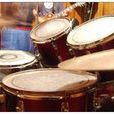 drum(一种打击乐器)
